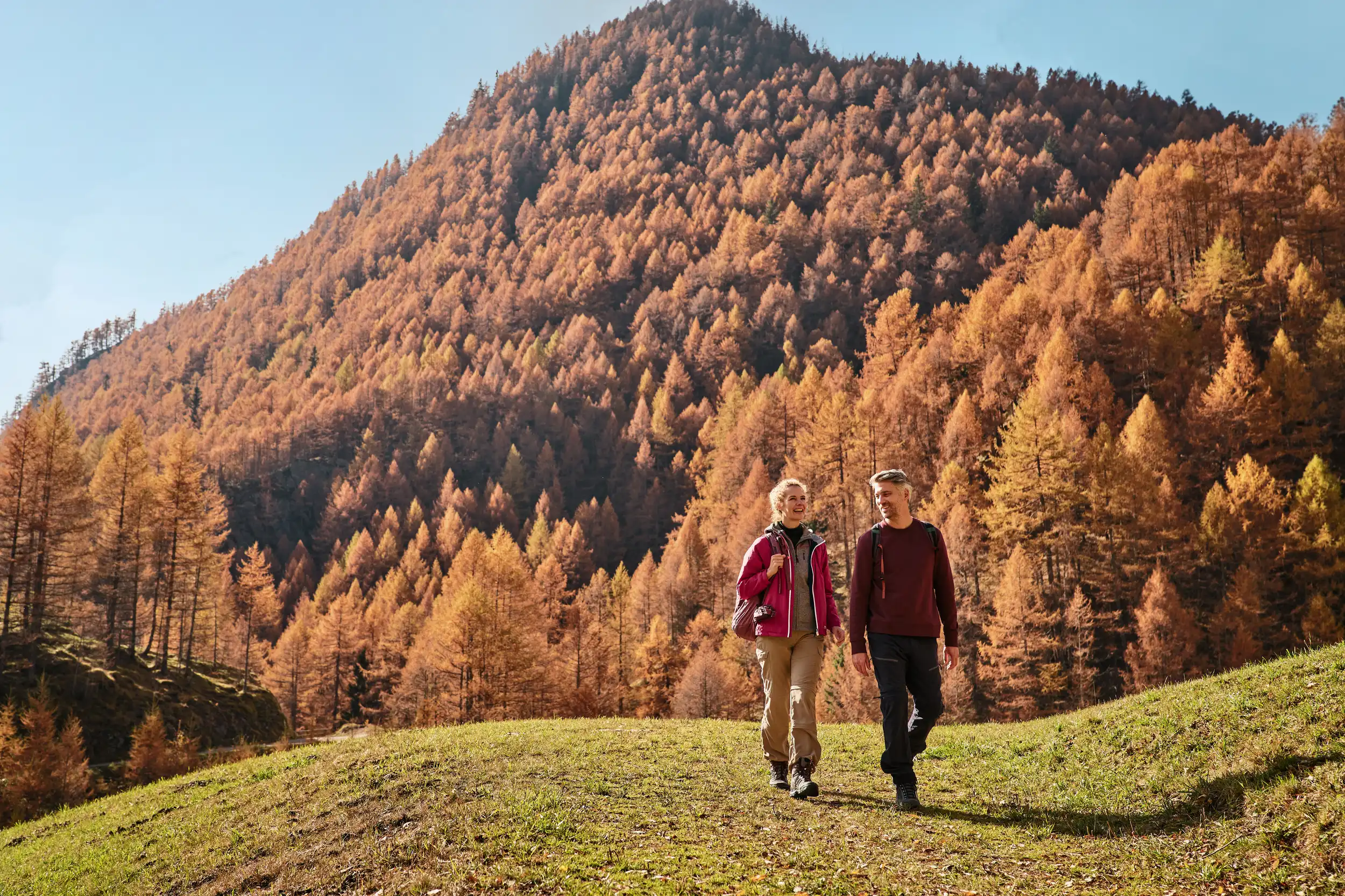Autumn Magic in Terenten